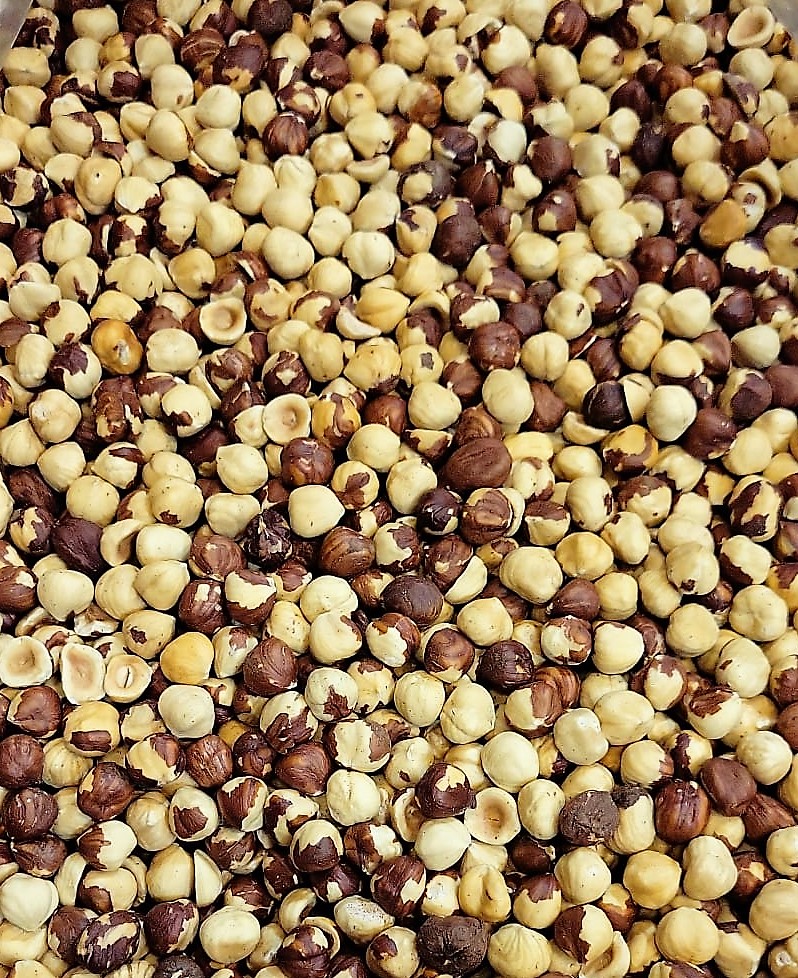 فندق بوداده بی نمک