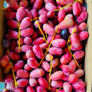 Mazzeh-Red Fresh Dates 30 lb
