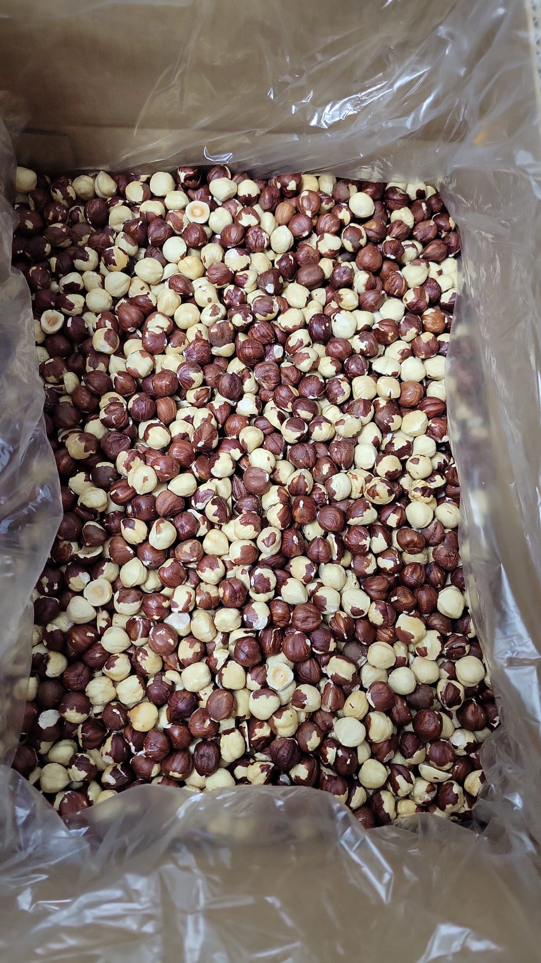 Mazzeh-Hazelnuts Roasted No Salt Extra Large-25 Lb 11.34 Kg-00