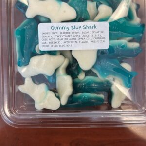 Gummy Blue Shark Case of 12